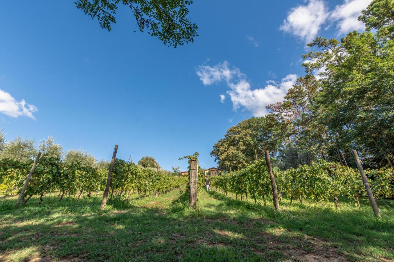 Podere Sant'Antonio Fauglia Buitenkant foto